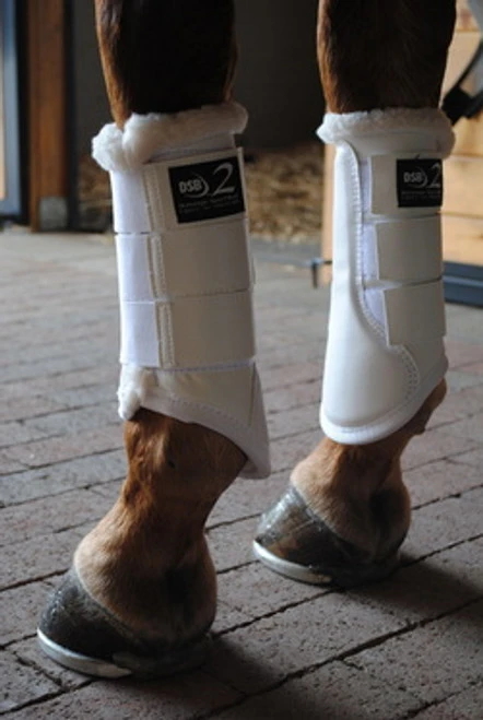 DSB2 Dressage Sport Boot 2 3 DSB2 Dressage Sport Boot 2