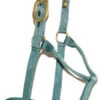 Big D Nylon Draft Halter - Snap + Adjustable Chin -Equine Worlds aaaaaaayly 53959 88450.1649965247