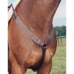 Nunn Finer All Purpose Elastic Breastplate -Equine Worlds all purpose elastic breastplate havana nunn finer 45483.1587246212