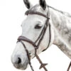 Prestige FS Anatomic Bridle With Flash -Equine Worlds anatomic flash bridle fs tobacco E141 prestige 62090.1568914769
