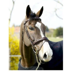 Dy'on Anatomic Flash Noseband Bridle