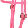 Berlin Beta Biothane Browband Headstall -Equine Worlds apizavu2g 63387 56161.1527297811