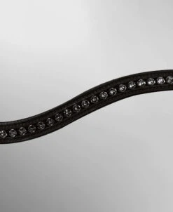 Passier Apollo Patent Leather Snaffle Bridle -Equine Worlds apollo bridle black new browband detail passier 13849.1690318611