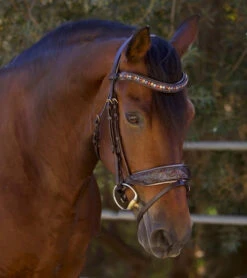 Halter Ego Aspen Rolled Snaffle Bridle