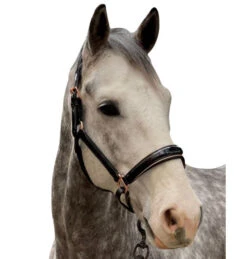 Halter Ego Aurelia Rose Gold Halter -Equine Worlds aurelia black pt rs gold halter ego 47724.1682994359
