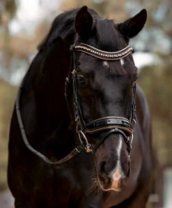 Halter Ego Aurelia Rose Gold Snaffle Bridle 11 Halter Ego Aurelia Rose Gold Snaffle Bridle -Equine Worlds aurelia rose gold snaffle bk.pt rsgd front AURELIA SNAFFLE FULL halter ego 79573.1682705558