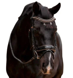 Halter Ego Aurelia Rose Gold Snaffle Bridle 10 Halter Ego Aurelia Rose Gold Snaffle Bridle -Equine Worlds aurelia rose gold snaffle bk.pt rsgd front halter ego 39370.1682705586