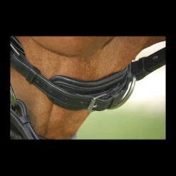 Dy'on Large Crank Noseband Snaffle Bridle -Equine Worlds b152chincloseup 25897 37669.1617485047