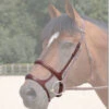 Dy'on Double Noseband -Equine Worlds b6117 60041 71485.1527288351