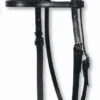 Circle Y Stitched Basic Brow Headstall 1 Circle Y Stitched Basic Brow Headstall -Equine Worlds basic stitched brow headstall black 0125 circle y 58733.1600200895