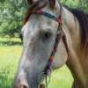 Circle Y Vibrant Infinity Beaded Brow Headstall 1 Circle Y Vibrant Infinity Beaded Brow Headstall -Equine Worlds bead inifinity color brow hs multi lifestyle X0223 4069 circle y 68489.1666373225