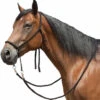 Tory Leather Bitless Poly Bridle With Reins 2 Tory Leather Bitless Poly Bridle With Reins -Equine Worlds bitless bridle 1 34998 30178.1527298889