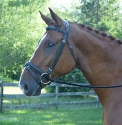 Black Oak Juniper Snaffle Bridle 8 Black Oak Juniper Snaffle Bridle -Equine Worlds black oak juniper bridle side 03583.1541199609