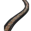 Black Oak Stormy Rose Curved Browband -Equine Worlds black oak stormy rose curve brow band black 135102 kl select 93120.1668192965