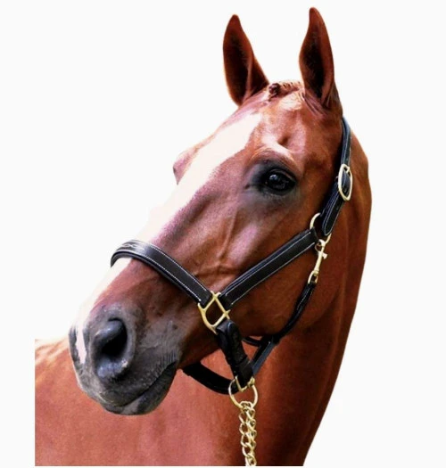 Black Oak Willow Halter 4 Black Oak Willow Halter - Image 2