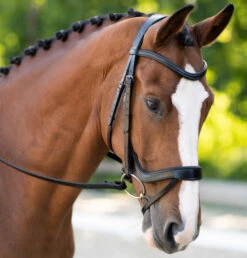 Black Oak Palm Ergonomic Bridle -Equine Worlds bo palm ergonomic bridle black hero 112102 kl select 09547.1668724126
