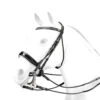 Equipe Charlotte Dujardin Patent Double Bridle -Equine Worlds br58 40432 81538.1576097054
