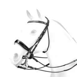 Equipe Charlotte Dujardin Patent Double Bridle