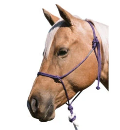 Double Diamond Buck Brannaman 124 Rope Halter 7 Double Diamond Buck Brannaman 124 Rope Halter -Equine Worlds brannaman halter 124 RL double diamond 43478.1635012858