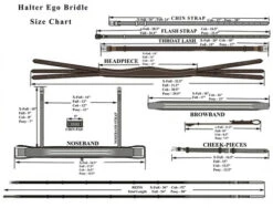 Halter Ego Florence Double Bridle -Equine Worlds bridle size guide halter ego 25773.1682640843