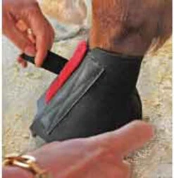 Cavallo Pastern Wraps -Equine Worlds cavallo pastern wrap 39 81342 20974.1527299160