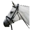 Waldhausen Chambon -Equine Worlds chambon black 140400 waldhausen 55986.1643844828