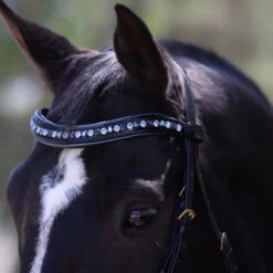 Halter Ego Charleston Double Bridle 11 Halter Ego Charleston Double Bridle -Equine Worlds charleston bridle dawn to dusk brow halter ego 84539.1682643012