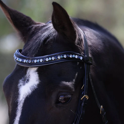Halter Ego Charleston Double Bridle 7 Halter Ego Charleston Double Bridle - Image 5