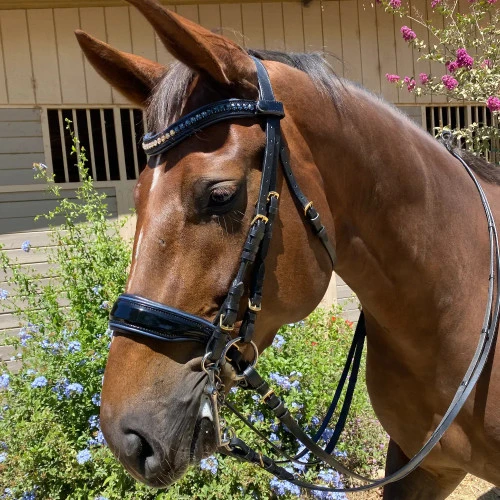 Halter Ego Charleston Double Bridle 5 Halter Ego Charleston Double Bridle - Image 3