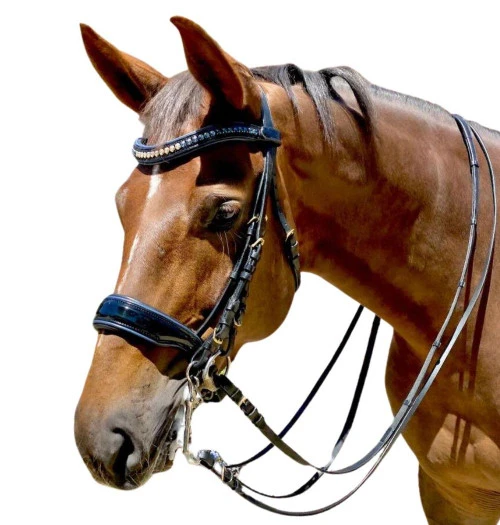 Halter Ego Charleston Double Bridle 4 Halter Ego Charleston Double Bridle - Image 2
