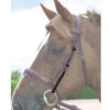 Dy'on Cheek Pieces -Equine Worlds cheek piece hunter brown B990 dyon 86920.1626546814