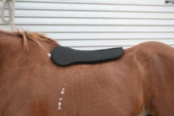 Circle Y Long Shoulder Bridge Pad 3/4" Or 1" -Equine Worlds circle y long shoulder bridge pad 3 4 or 1 3 95277.1530647799