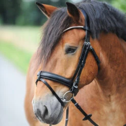 Kavalkade Clinchesse Snaffle Bridle -Equine Worlds clinchesse bridle black silver cob 19042 kavalkade 78707.1607203861