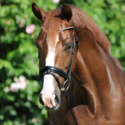 Kavalkade Clinchesse Snaffle Bridle