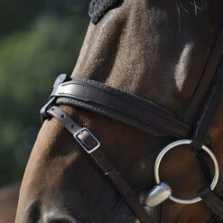 In Horse We Trust Contact Noseband With Flash -Equine Worlds contact noseband flash havana horse IHWT 85753.1658870509