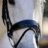 Halter Ego Copenhagen Navy Patent Snaffle Bridle -Equine Worlds copenhagen flat snaffle nv.pt navy noseband halter ego 13093.1682618523