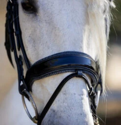 Halter Ego Copenhagen Navy Patent Snaffle Bridle