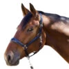 Halter Ego Copenhagen Navy Patent Halter -Equine Worlds copenhagen navy halter nv.pt navy halter ego 06211.1682705233