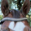 Halter Ego Crystal Jumper Bridle -Equine Worlds crystal jumper bridle browband halter ego 53858.1690040353