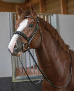 PÉNÉLOPE Pénélope Daily Snaffle Bridle -Equine Worlds daily snaffle black front reins 301 602 218 penelope 73321.1688760930