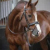 PĂNĂLOPE PĂ©nĂ©lope Daily Snaffle Bridle 1 PĂNĂLOPE PĂ©nĂ©lope Daily Snaffle Bridle -Equine Worlds daily snaffle black side 301 602 218 penelope 89083.1688761034