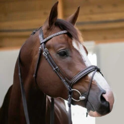 PÉNÉLOPE Pénélope Daily Snaffle Bridle -Equine Worlds daily snaffle havana side edit 301 602 318 penelope 16893.1688761003