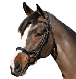 Halter Ego Deauville Anatomical Jumper Bridle -Equine Worlds deauville jumper bridle black halter ego 16705.1687998614