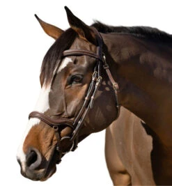 Halter Ego Deauville Anatomical Jumper Bridle -Equine Worlds deauville jumper bridle brown left halter ego 55546.1687998645