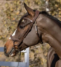 Halter Ego Deauville Anatomical Jumper Bridle -Equine Worlds deauville jumper bridle brown side halter ego 37092.1687998625