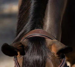 Halter Ego Deauville Anatomical Jumper Bridle -Equine Worlds deauville jumper bridle crown halter ego 72644.1687998650