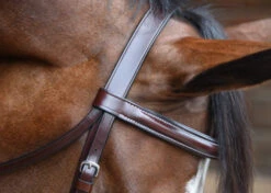 KL Italia Del Mar Hunter Bridle -Equine Worlds del mar hunter bridle crown brow kl select 06857.1643851910
