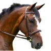 KL Italia Del Mar Hunter Bridle -Equine Worlds del mar hunter bridle kl select 76669.1643851905