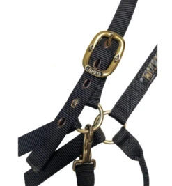 Big D Nylon Draft Halter - Snap + Adjustable Chin -Equine Worlds draft halter black hardware big d mtf 63256.1649965248