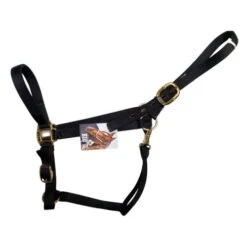 Big D Nylon Draft Halter - Snap + Adjustable Chin -Equine Worlds draft halter black side big d mtf 52393.1649965225